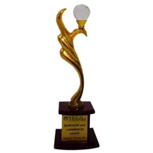 Awards